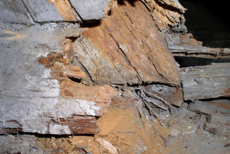 How to Manage Substrate Deterioration: Architectural & Engineering Guide